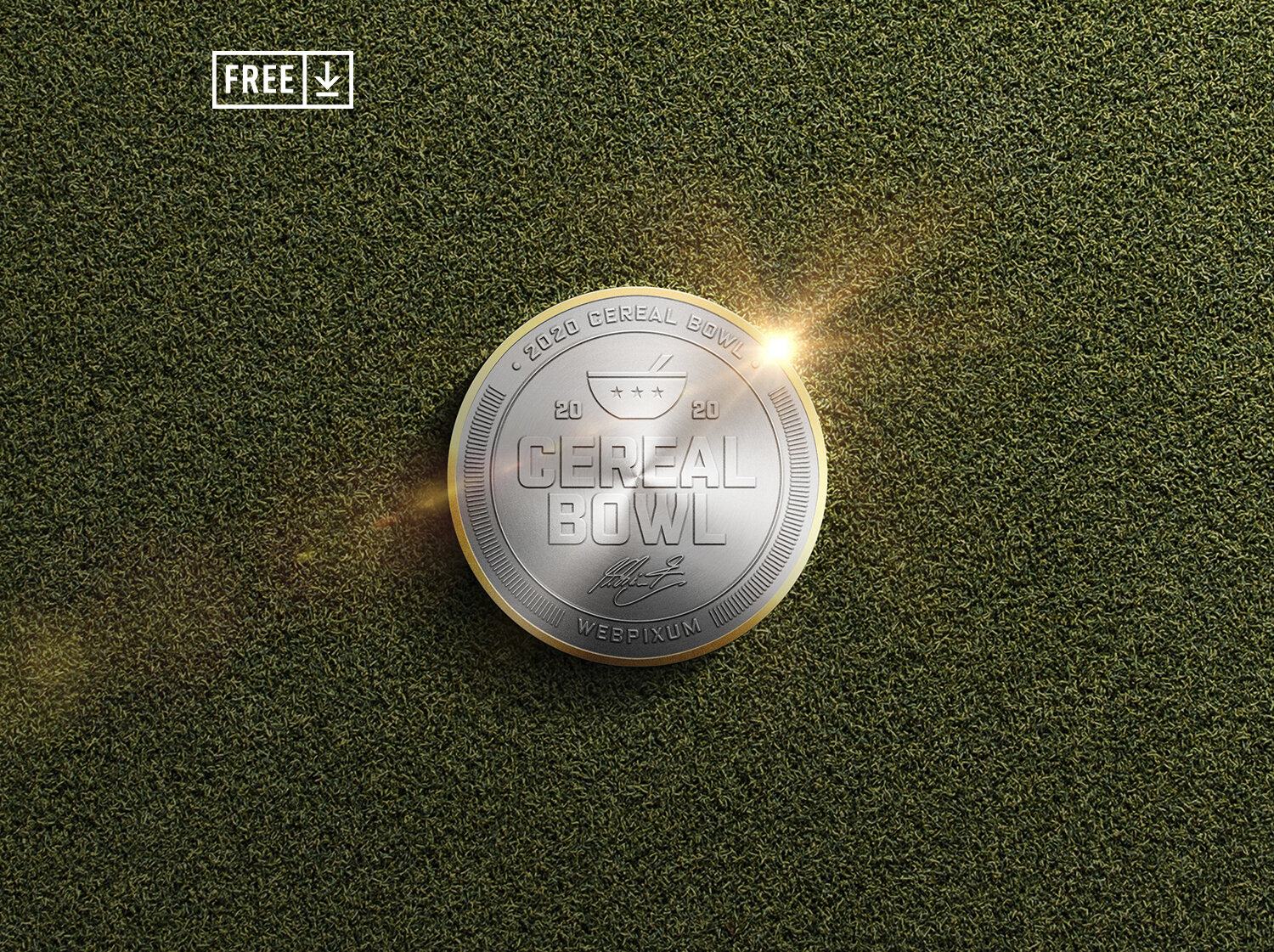 3d rendering of gold coin mockup. Flip Coin Mockup Webpixum Sports Mockups